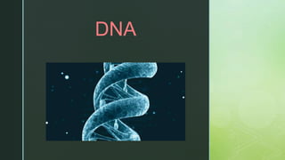 z
DNA
 
