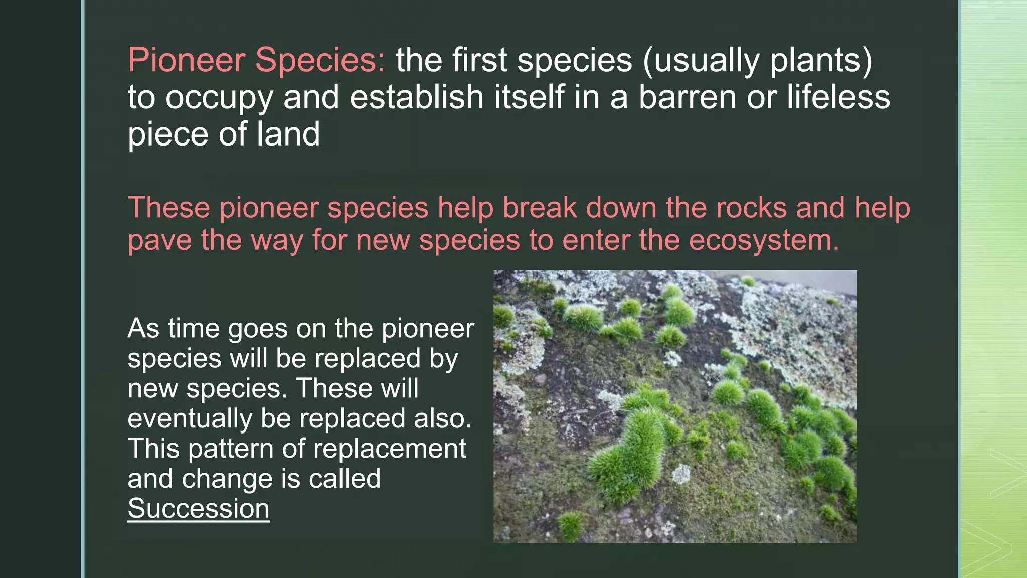 zPioneer ​Species: the ​first species (usually plants)
to ​occupy and establish itself in a barren or ​lifeless
piece of ​land
These pioneer species help break down the rocks and help
pave the way for new species to enter the ​ecosystem.
As time goes on the pioneer
species will be ​replaced by
new species. These will
eventually be replaced also.
This pattern of replacement
and ​change is called
Succession
 