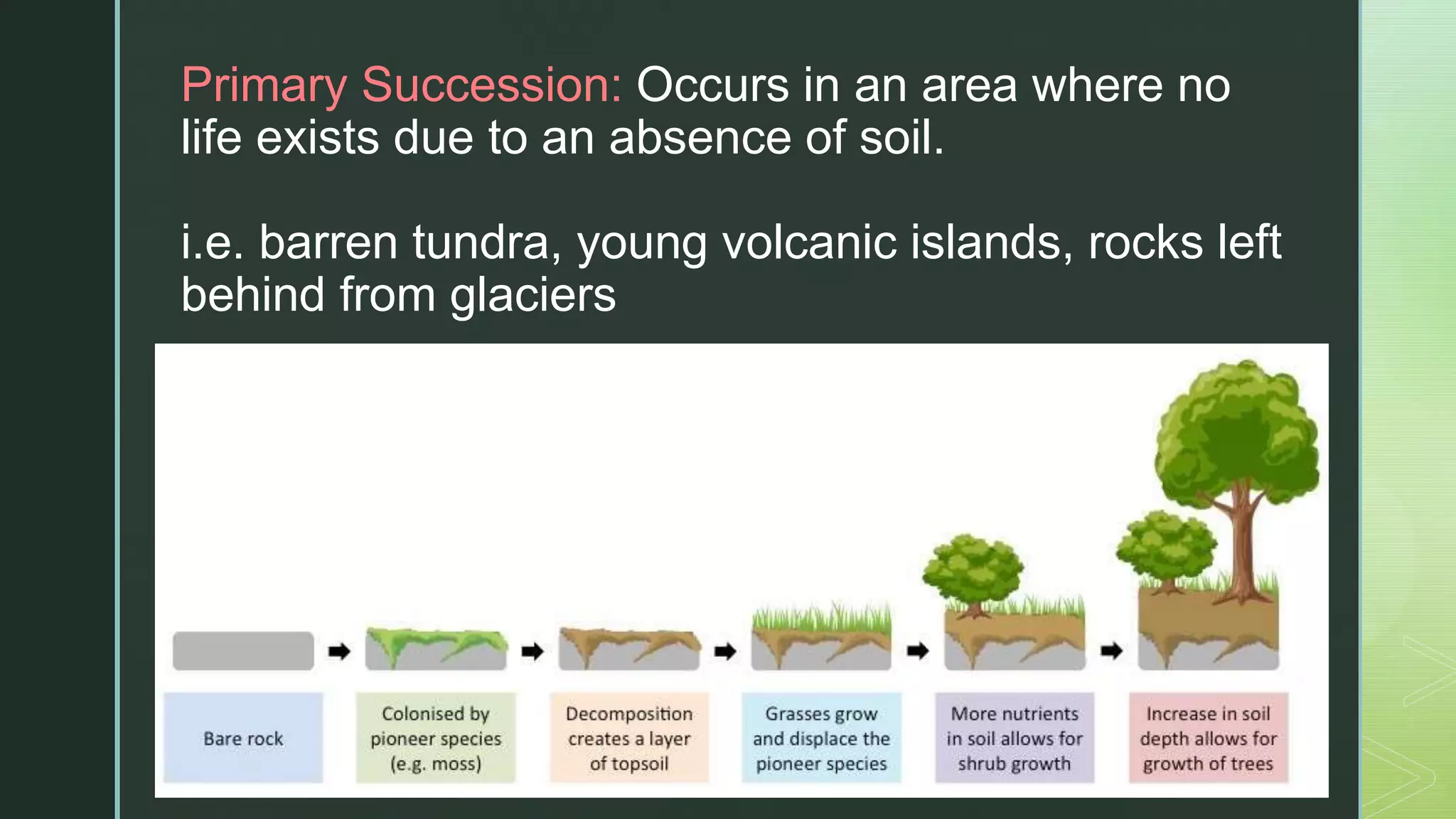 zPrimary Succession: Occurs in an area where no
life exists due to an absence of soil.
i.e. barren tundra, young volcanic islands, rocks ​left
behind from glaciers
 