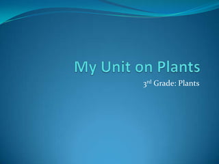 3rd Grade: Plants
 