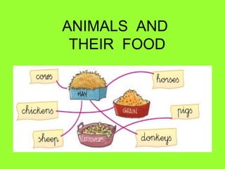 ANIMALS AND
THEIR FOOD
 