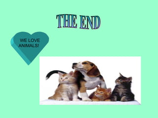 WE LOVE
ANIMALS!
 