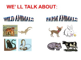 WE’ LL TALK ABOUT:
 