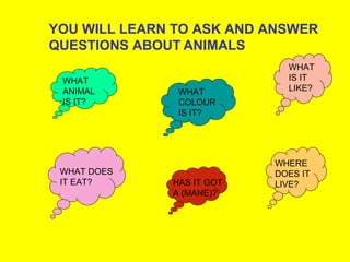 YOU WILL LEARN TO ASK AND ANSWER
QUESTIONS ABOUT ANIMALS
WHAT
COLOUR
IS IT?
WHAT DOES
IT EAT?
WHAT
IS IT
LIKE?
WHERE
DOES IT
LIVE?
WHAT
ANIMAL
IS IT?
HAS IT GOT
A (MANE)?
 
