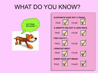 WHAT DO YOU KNOW?
IS IT TRUE
OR FALSE?
ELEPHANTS HAVE GOT A TRUNK.
A GIRAFFE HAS GOT A LONG NECK.
FISH CAN FLY.
LIONS EAT MEAT.
SHEEP HAVE GOT WINGS.
TRUE
TRUE
TRUE
TRUE
TRUE
FALSE
FALSE
FALSE
FALSE
FALSE
 