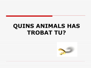QUINS ANIMALS HAS TROBAT TU? 