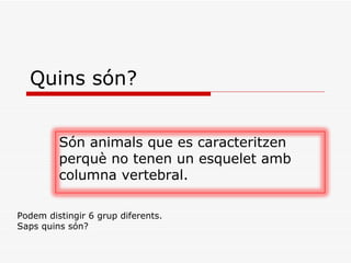 Quins són? Podem distingir 6 grup diferents. Saps quins són? Són animals que es caracteritzen perquè no tenen un esquelet amb columna vertebral. 