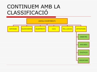 CONTINUEM AMB LA CLASSIFICACIÓ 