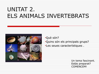 UNITAT 2. ELS ANIMALS INVERTEBRATS ,[object Object],[object Object],[object Object],Un tema fascinant.  Estàs preparat? COMENCEM! 