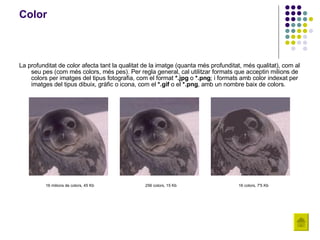 Color La profunditat de color afecta tant la qualitat de la imatge (quanta més profunditat, més qualitat), com al seu pes (com més colors, més pes). Per regla general, cal utilitzar formats que acceptin milions de colors per imatges del tipus fotografia, com el format  *.jpg  o  *.png ; i formats amb color indexat per imatges del tipus dibuix, gràfic o icona, com el  *.gif  o el  *.png , amb un nombre baix de colors.  16 milions de colors, 45 Kb 256 colors, 15 Kb 16 colors, 7'5 Kb 