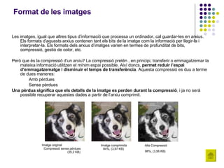 Format de les imatges Les imatges, igual que altres tipus d’informació que processa un ordinador, cal guardar-les en arxius. Els formats d’aquests arxius contenen tant els bits de la imatge com la informació per llegir-la i interpretar-la. Els formats dels arxius d’imatges varien en termes de profunditat de bits, compressió, gestió de color, etc. Però que és la compressió d’un arxiu? La compressió pretén , en principi, transferir o emmagatzemar la mateixa informació utilitzen el mínim espai possible. Així doncs,  permet reduir l’espai d’emmagatzematge i disminuir el temps de transferència . Aquesta compressió es duu a terme de dues maneres: Amb pèrdues Sense pèrdues Una pèrdua significa que els detalls de la imatge es perden durant la compressió , i ja no serà possible recuperar aquestes dades a partir de l’arxiu comprimit.  Imatge original  Compressió sense pèrdues  (35,2 KB) Imatge comprimida 84%, (3,97 KB)   Alta Compressió 98%, (3,56 KB)   