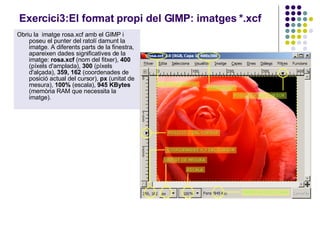 Exercici3:El format propi del GIMP: imatges *.xcf   Obriu la  imatge rosa.xcf amb el GIMP i poseu el punter del ratolí damunt la imatge. A diferents parts de la finestra, apareixen dades significatives de la imatge:  rosa.xcf  (nom del fitxer),  400  (píxels d'amplada),  300  (píxels d'alçada),  359, 162  (coordenades de posició actual del cursor),  px  (unitat de mesura),  100%  (escala),  945 KBytes  (memòria RAM que necessita la imatge).  