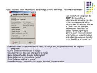 Podeu accedir a altres informacions de la imatge al menú  Visualitza / Finestra d'informació :  Els fitxers  *.xcf  són propis del  GIMP . Contenen tota la informació de la imatge, i a més, poden emmagatzemar altres informacions addicionals útils per al GIMP, com per exemple, informacions relatives a les capes. Per tant, i per regla general, quan necessiteu desar una imatge per seguir treballant amb ella més endavant, la millor opció és utilitzar el format  *.xcf .  Exercici 3:  obriu un document Word, inseriu la imatge rosa, i copieu i responeu  les següents preguntes: Quines són les dimensions de la imatge? Calcula el nombre de píxels total que te la imatge Quina és la profunditat de color de la imatge? Quina és la mida en memòria de l’arxiu? Quina és la resolució de la imatge? Desa el document (exercici3)  a la carpeta de treball d’aquesta unitat. 
