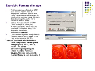 Exercici4: Formats d’imatge   Amb la imatge rosa.xcf oberta al GIMP, aneu al menú Fitxer / i trieu, al desplegable Selecciona tipus de fitxer , l'opció . Deseu la imatge a la carpeta de treball amb el nom  rosa1.bmp   del vostre disc. Al desplegable , podeu triar la carpeta on desar la imatge.  Obriu el fitxer rosa.xcf amb el GIMP. Deseu la imatge en format jpeg.  Al menú Desa com a JPEG, trieu una qualitat del 75% ideixeu les opcions avançades per defecte:  Anomeneu-la  rosa2.jpg Obriu una altra vegada la imatge rosa.xcf. Deseu-la ara amb el nom  rosa3 , format *.jpg, amb una qualitat del 10%. Obriu un document Word i feu una taula comparativa de las quatre imatges (rosa, rosa1, rosa 2, rosa3) i les seves característiques principals ( nom, memòria Ram que ocupen, Grau de compressió, format. Deseu-la com a exercici 4   