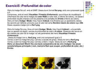Exercici5 :Profunditat de color Obriu la imatge flor.xcf  amb el GIMP. Deseu-la en format  flor.png , amb una compressió igual a 0.  Comproveu, amb el menú  Visualitza / Finestra d'informació , que el tipus de visualització (informació de color de la imatge) és  color RGB  (o color real, o milions de colors), i la classe i profunditat visuals (manera com es presenta a la pantalla) és  24 bits  (milions de colors).  Obriu el menú  Imatge / Mode  i trieu l'opció  Indexat . A la finestra que us apareixerà, deixeu les opcions per defecte; procureu que el valor del camp  Nombre màxim de colors  sigui  256 .  Deseu aquesta imatge com a  flor1.png  Obriu la imatge flor.png. Aneu al menú  Imatge / Mode , trieu l'opció  Indexat  i, a la pantalla que us apareix tot seguit, canvieu la profunditat de color a  4 colors . Observeu els canvis en els matisos de color de la imatge i en els paràmetres del menú  Visualitza/ Finestra d'informació . Deseu la imatge com a  flor2.png , amb una compressió igual a 0.  Torneu a obrir la imatge flor.png i canvieu a escala de grisos. Deseu-la com a  flor3.png  Torneu a obrir la imatge flor.png i canvieu a blanc i negre. Deseu-la com a  flor4.png  Obriu un document Word i feu una taula comparativa de las cinc imatges i les seves característiques principals ( nom, memoria Ram que ocupen, profunditat de color, etc.) Envieu 