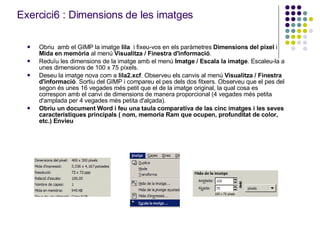 Exercici6 : Dimensions de les imatges   Obriu  amb el GIMP la imatge  lila   i fixeu-vos en els paràmetres  Dimensions del píxel  i  Mida en memòria  al menú  Visualitza / Finestra d'informació . Reduïu les dimensions de la imatge amb el menú  Imatge / Escala la imatge . Escaleu-la a unes dimensions de 100 x 75 píxels.  Deseu la imatge nova com a  lila2.xcf . Observeu els canvis al menú  Visualitza / Finestra d'informació . Sortiu del GIMP i compareu el pes dels dos fitxers. Observeu que el pes del segon és unes 16 vegades més petit que el de la imatge original, la qual cosa es correspon amb el canvi de dimensions de manera proporcional (4 vegades més petita d'amplada per 4 vegades més petita d'alçada). Obriu un document Word i feu una taula comparativa de las cinc imatges i les seves característiques principals ( nom, memoria Ram que ocupen, profunditat de color, etc.) Envieu 