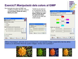   Per manipular els colors al GIMP, per modificar el balanç del color, obriu la pantalla  Eines | Eines de color | Balanç de color :  Exercici7:Manipulació dels colors al GIMP També es pot variar el to i la saturació; per fer-ho, desplegueu el menú  Eines | Eines de color |To saturació bàsic : També es pot optar pel nivell avançat.  Mireu d’aconseguir, amb els canvis corresponents, que aquesta imatge s’assembli a les tres altres Inseriu a un document Word les quatre imatges i envieu com a pràctica 7  