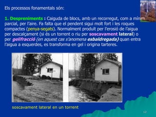 12
Els processos fonamentals són:
1. Despreniments : Caiguda de blocs, amb un recorregut, com a mínim
parcial, per l’aire. Fa falta que el pendent sigui molt fort i les roques
compactes (penya-segats). Normalment produït per l’erosió de l’aigua
per descalçament (si és un torrent o riu per soscavament lateral) o
per gelifracció (en aquest cas s’anomena esbaldregada) quan entra
l’aigua a esquerdes, es transforma en gel i origina tarteres.
soscavament lateral en un torrent
 