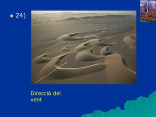  24)
Direcció del
vent
 