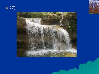  27)
 