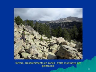 13
Tartera. Despreniments en zones d’alta muntanya per
gelifracció
 