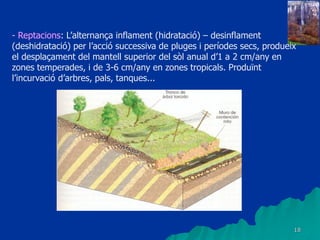 18
- Reptacions: L’alternança inflament (hidratació) – desinflament
(deshidratació) per l’acció successiva de pluges i períodes secs, produeix
el desplaçament del mantell superior del sòl anual d’1 a 2 cm/any en
zones temperades, i de 3-6 cm/any en zones tropicals. Produïnt
l’incurvació d’arbres, pals, tanques...
 