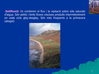 19
-Solifluxió: Es combinen el flux i la reptació sobre sòls saturats
d’aigua. Són petits i lents fluxos viscosos produïts intermitentment
en cada cicle glaç-desglaç. Són més freqüents a la primavera
(desgel)
 