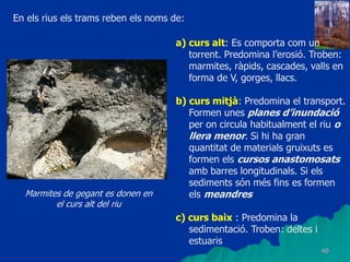 40
a) curs alt: Es comporta com un
torrent. Predomina l’erosió. Troben:
marmites, ràpids, cascades, valls en
forma de V, gorges, llacs.
b) curs mitjà: Predomina el transport.
Formen unes planes d’inundació
per on circula habitualment el riu o
llera menor. Si hi ha gran
quantitat de materials gruixuts es
formen els cursos anastomosats
amb barres longitudinals. Si els
sediments són més fins es formen
els meandres
c) curs baix : Predomina la
sedimentació. Troben: deltes i
estuaris
En els rius els trams reben els noms de:
Marmites de gegant es donen en
el curs alt del riu
 