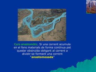 Curs anastomòtic. Si una corrent acumula
en el fons materials de forma contínua pot
quedar obstruïda obligant al corrent a
dividir-se formant una corrent
“anastomosada”
 