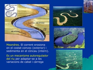 Meandres. El corrent erosiona
en el costat convex (exterior) i
sedimenta en el còncau (intern).
Es un mecanisme autoregulador
del riu per adaptar-se a les
variacions de cabal i càrrega
 