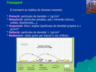 46
Transport
El transport es realitza de diverses maneres:
* Flotació: partícules de densitat < 1gr/cm3
* Dissolució: partícules solubles, sals i minerals (clorurs,
sulfats, bicarbonats,...)
* Suspensió: llims i argiles (partícules de densitat propera a 1
gr/cm3)
* Saltació: partícules de densitat > 1gr/cm3
* Rodament: clasts grans per tracció o xoc d’altres.
 