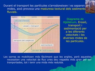 Durant el transport les partícules s’arrodoneixen i es separen per
mides, això provoca una maduresa textural dels sediments
fluvials.
Les sorres es mobilitzen més fàcilment que les argiles, però aquestes
necessiten una velocitat de flux unes deu vegades més gran per ser
tranportades, tot i tenir una mida més reduïda.
Diagrama de
Hjülstrum. Erosió,
transport i
sedimentació per
a les diferents
velocitats i les
diverses mides de
les partícules.
 