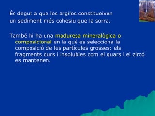 És degut a que les argiles constitueixen
un sediment més cohesiu que la sorra.
També hi ha una maduresa mineralògica o
composicional en la què es selecciona la
composició de les partícules grosses: els
fragments durs i insolubles com el quars i el zircó
es mantenen.
 