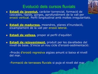 Evolució dels cursos fluvials
 Estadi de joventut, caràcter torrencial, formació de
cascades, ràpids, gorges, aprofundiment de la vall per
erosió vertical. Perfil longitudinal amb moltes irregularitats.
 Estadi de maduresa, meandres, planes d’inundació,
eixamplament de la vall per erosió lateral.
 Estadi de vellesa, proper al perfil d'equilibri
 Estadi de rejoveniment, produït per les davallades del
nivell de base. S’inicia un nou cicle d’erosió-sedimentació:
-Procès d'erosió regresiva aigües amunt si baixa el nivell
del mar.
-Formació de terrasses fluvials si puja el nivell del mar.
 
