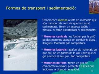 60
S’anomenen morena a tots els materials que
són transportats com els que han estat
sedimentats. Tenen un aspecte caòtic i
massiu, ni estan estratificats ni seleccionats:
* Morenes centrals: es formen per la unió
de dos morenes laterals en confluir-hi dues
llengües. Materials poc compactats.
* Morenes laterals: agafen els materials del
que cau de les parets de la vall i pels que el
gel arrenca al seu pas. Poc compactats.
* Morenes de fons: tenen un gra de
compactació elevat i presenten estries que
indiquen la direcció del glacial.
Formes de transport i sedimentació:
 