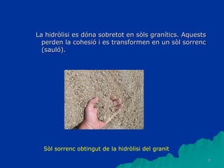 7
La hidròlisi es dóna sobretot en sòls granítics. Aquests
perden la cohesió i es transformen en un sòl sorrenc
(sauló).
Sòl sorrenc obtingut de la hidròlisi del granit
 