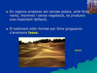  En regions properes als cercles polars, amb forts
vents, morenes i sense vegetació, es produeix
una important deflació.
 El sediment eòlic format per llims groguencs
s’anomena loess.
loess
 