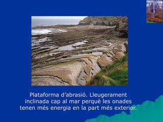 Plataforma d’abrasió. Lleugerament
inclinada cap al mar perquè les onades
tenen més energia en la part més exterior.
 