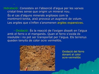 9
-
Hidratació: Consisteix en l’absorció d’aigua per les xarxes
cristal·lines sense que origini un mineral nou.
És el cas d’alguns minerals argilosos com la
montmoril·lonita, això provoca un augment de volum.
Les argiles que s’inflen s’anomenen argiles expansives.
- Oxidació: És la reacció de l’oxigen dissolt en l’aigua
amb el ferro o el manganès. Quan el ferro s’oxida és
insoluble i no pot ser transportat per l’aigua. Els terrenys
queden tenyits de color ocre vermellós.
Oxidació del ferro
donant el color
ocre-vermellós
 