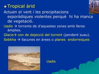  Tropical àrid
Actuen el vent i les precipitacions
esporàdiques violentes perquè hi ha manca
de vegetació.
Uadis  torrents de d’aquestes zones amb lleres
àmplies.
Glacis con de dejecció del torrent (pendent suau).
Sebkha  llacunes en àrees o planes endorreiques
Uadis
 