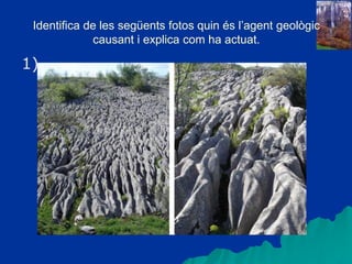 Identifica de les següents fotos quin és l’agent geològic
causant i explica com ha actuat.
1)
 