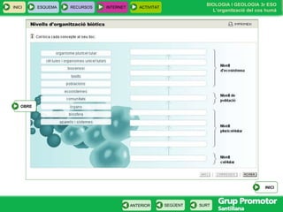 INICI ESQUEMA RECURSOS INTERNET ACTIVITAT INICI OBRE  