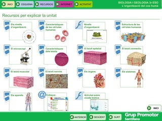 Recursos per explicar la unitat Activitat sobre nivells biòtics INICI Nivells d’organització Els nivells  d’organització  Característiques de les cèl·lules humanes Estructura de les cèl·lules humanes Característiques dels teixits El teixit epitelial El teixit connectiu El teixit muscular El teixit nerviós Els òrgans Els sistemes Els aparells El microscopi Enllaços 