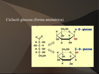 Funcions: Dissolvent 