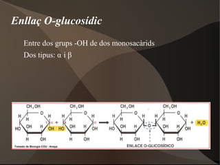 2.2 LES SALS MINERALS Formes: Precipitades 