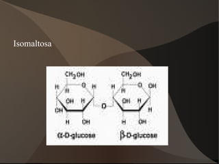 Funcions: Formar estructures esquelètiques 