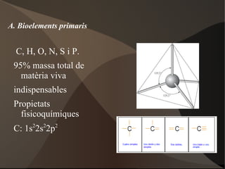 A. Bioelements primaris C, H, O, N, S i P. 