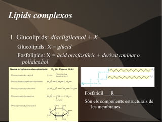 Estructura cíclica: 