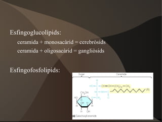 Ciclació glucosa (forma anomèrica) 