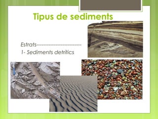 Tipus de sediments
Estrats--------------------------
1- Sediments detrítics
 